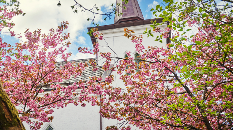 Bryllup i Birkeland kirke