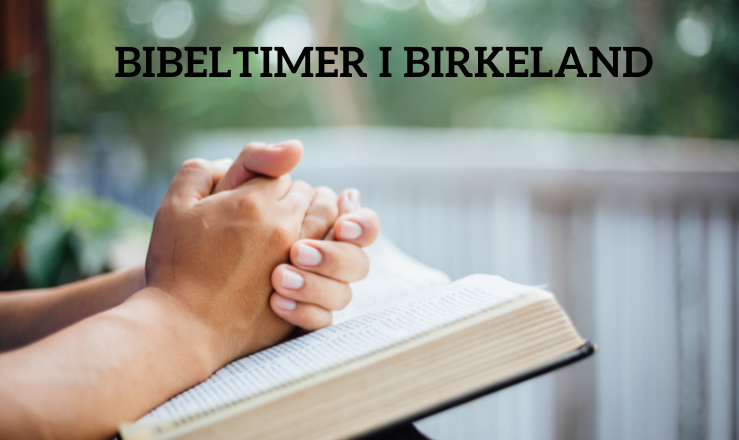 Bibeltimene er for voksne i alle aldre. Velkommen til samtale og refleksjon. Foto: unsplash.com