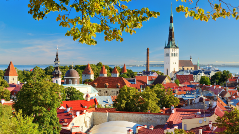 Oversiktsbilde over gamlebyen i Tallinn. Foto: canva.com