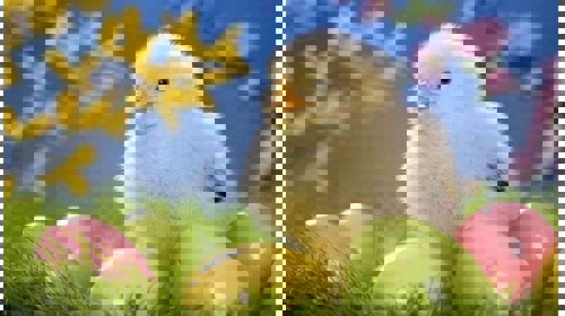 Bli med på påskeverksted 14.mars