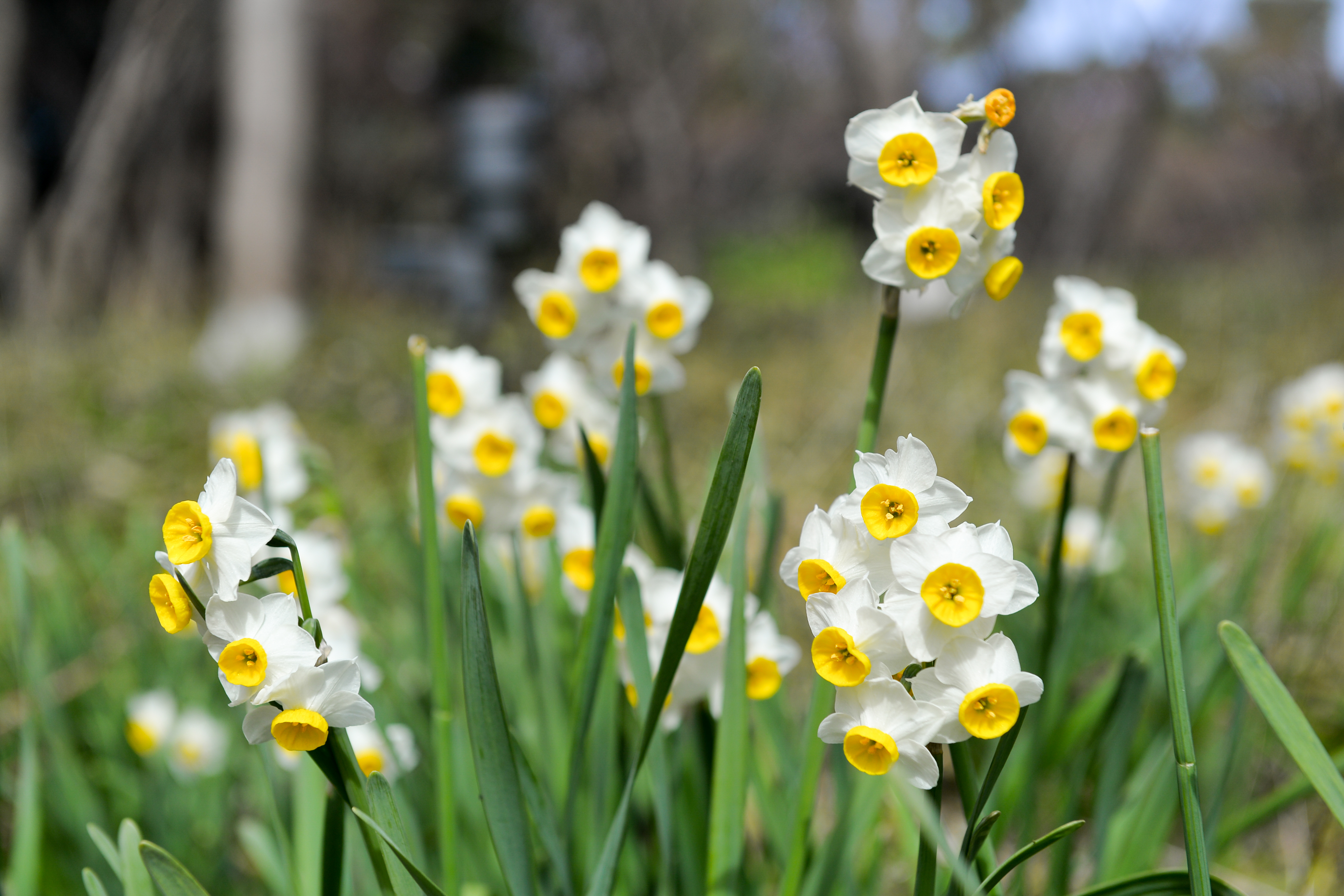 Friluftsgudstjeneste 14. mai