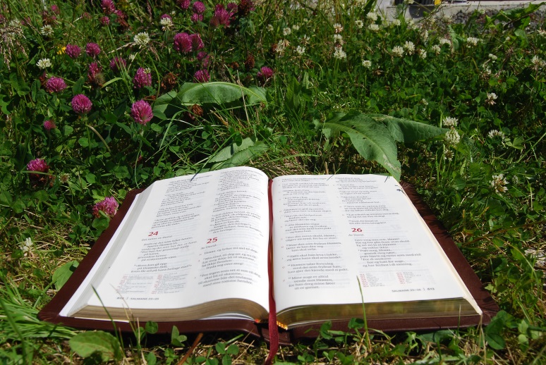 Bibeltekstane i gudstenesta