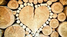 Bildet er tatt av TheUjulala fra Pixabay