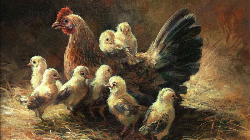 Jesus som hønemor