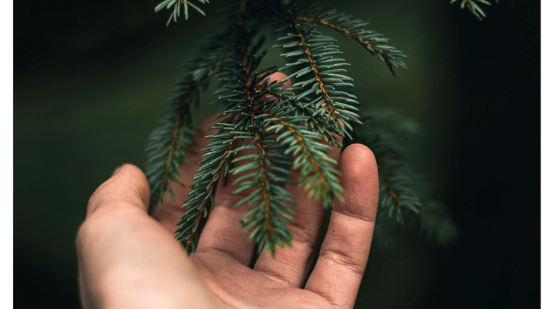 Forside av menighetsblad