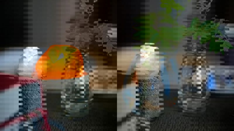 Tid for tro våren 2026