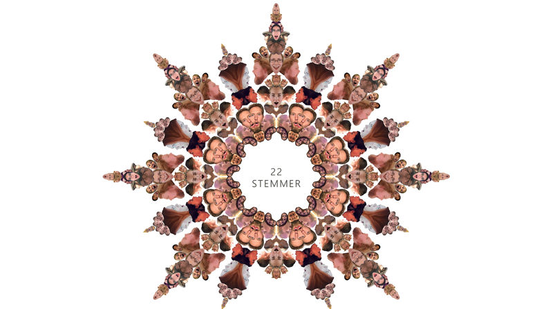 Nye stemmer i Sælen