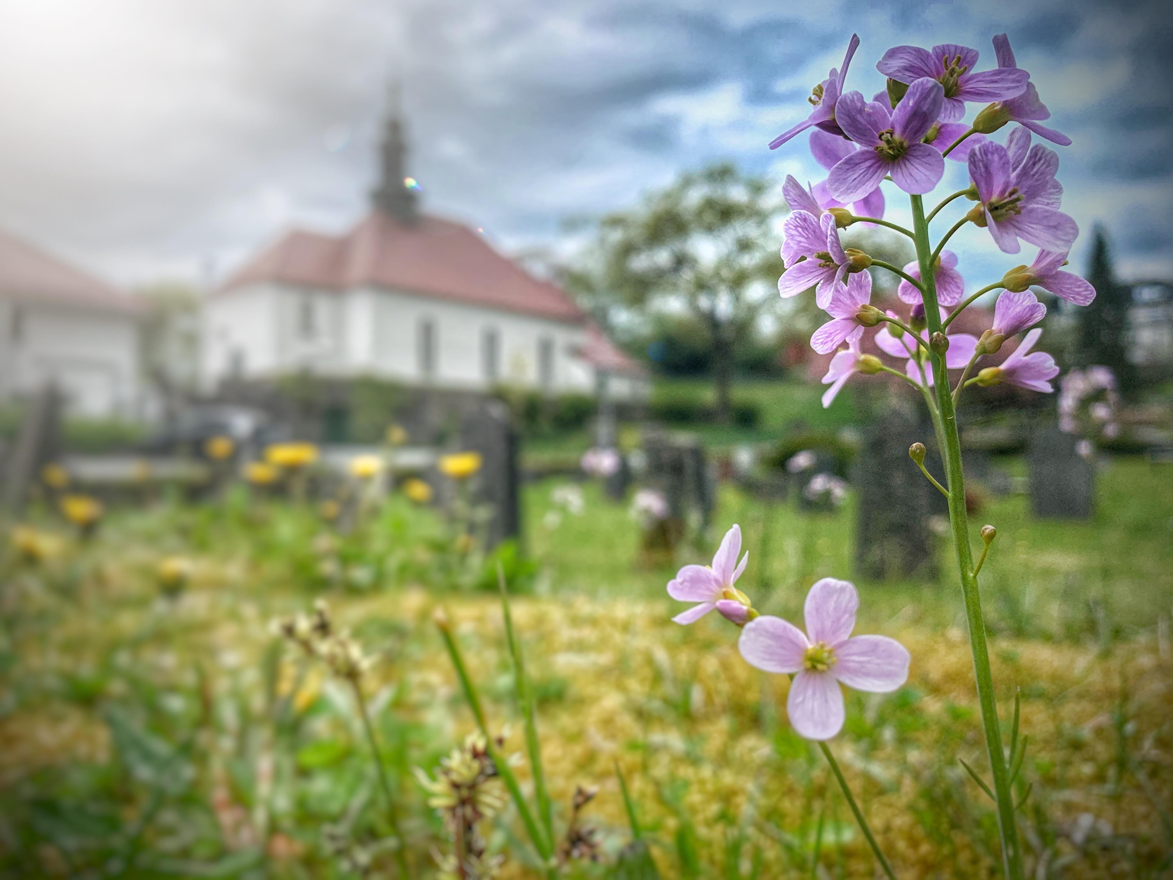 Foto: Linda Vabø