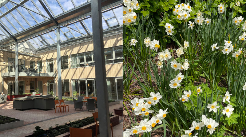 Korsang og allsang i atriet