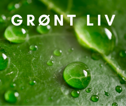 Grønt liv - ta vare på skaperverket