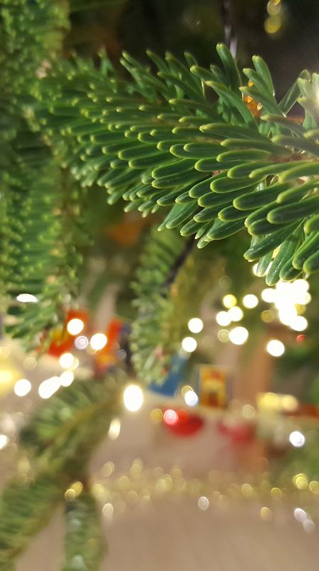 Info om Skjold kirke i julen