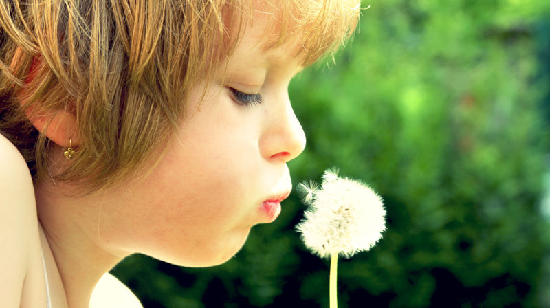 Gudstjeneste og sommerfest 13/6