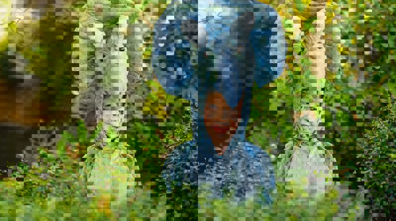 Gudstjeneste for store og små 13/2