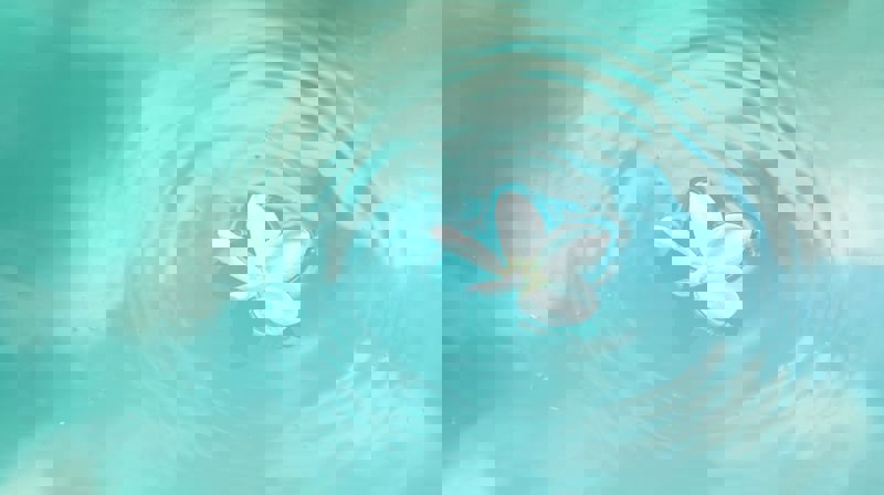 Oktober - Sorgmånaden 2020