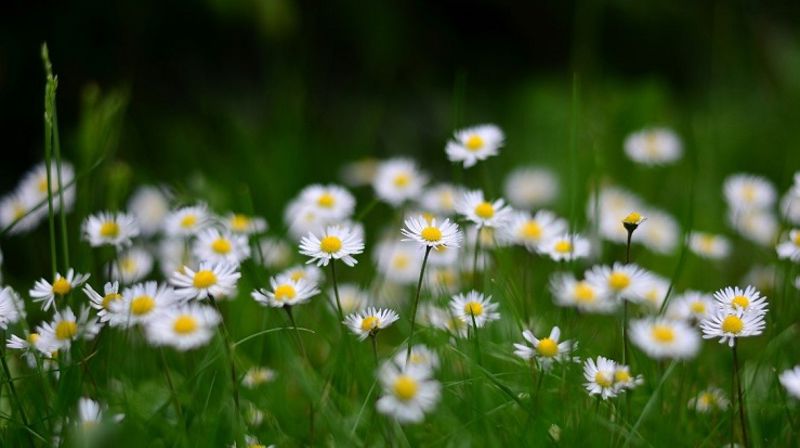 FRILUFTSGUDSTJENESTE  PÅ SMØRÅSFJELLET