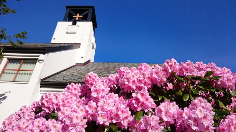 Velkommen til digital 17. mai-gudstjeneste!