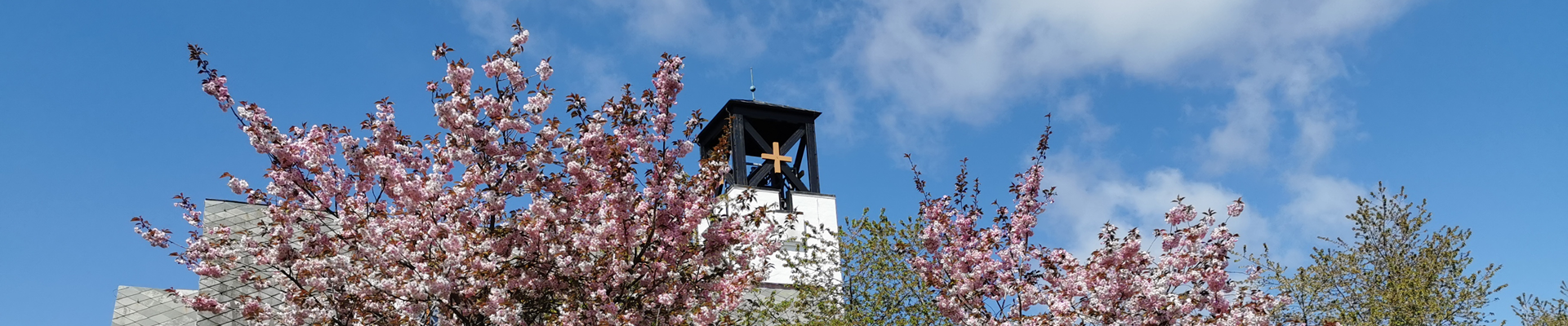 Toppbilde for Skjold menighet