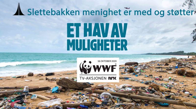 TV-aksjonen 2020: et hav av muligheter