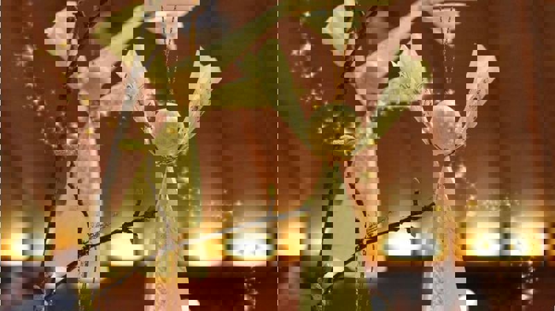 Salmebokengler. Foto: Geir Endre Kristoffersen