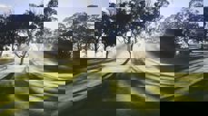 Foto: Mandy Henry på Unsplash