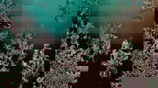 Foto: Sigrun Jørdre