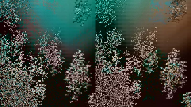 Foto: Sigrun Jørdre