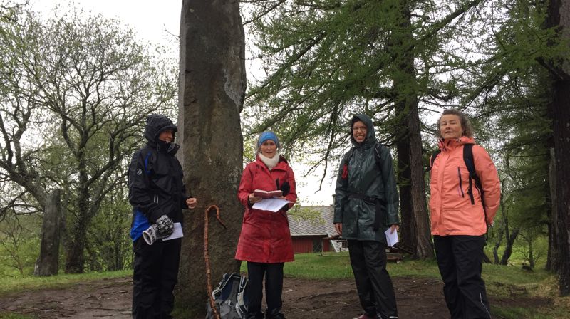 Rikt velsignet pilegrimsvandring til økumenisk pinsefeiring i Bodin