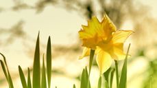 Bilde hentet fra Den norske kirke