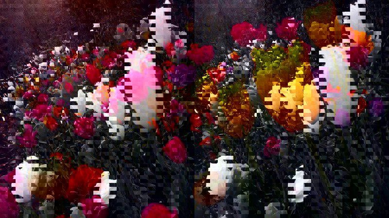 Håpssamtaler i påsken