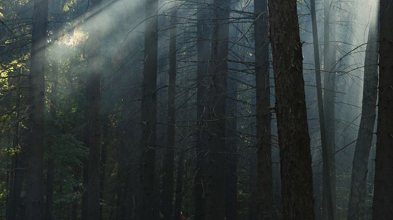 Morgenandakt på NRK P1