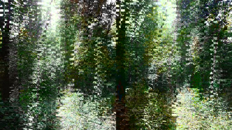 Velkommen til helgeretreat!