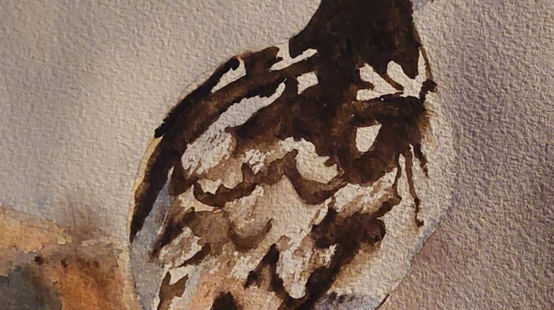 Maleklubb i Rønvik Kirke