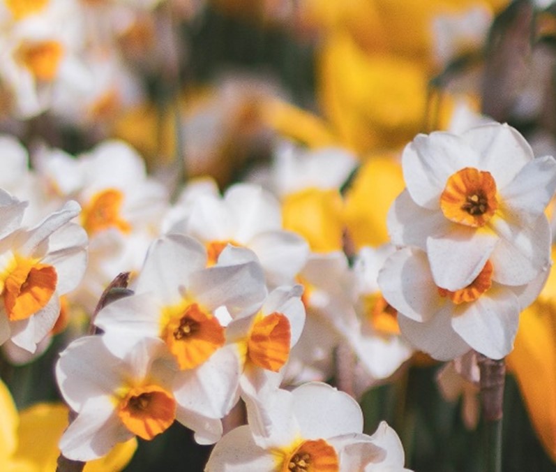 Påsken 2026 i Kjerringøy kirke