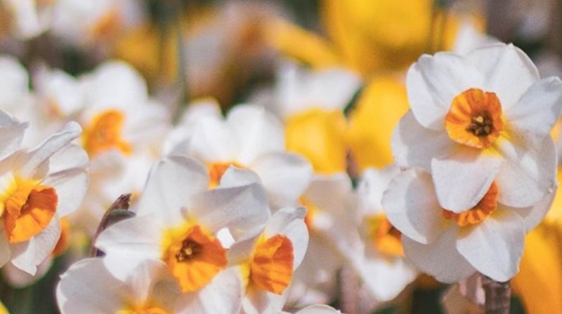Påsken 2026 i Kjerringøy kirke
