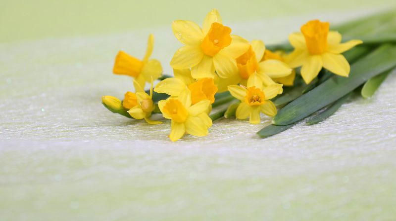 Kirkene i Bodø sender gudstjenester på nettet påsken 2020.