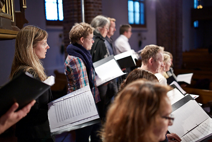 Illustrasjonsbilde av kor. Foto: Sveinung Bråthen