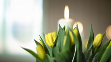 Illustrasjonsfoto. Påskeblomster. Foto: Bo Mathisen.