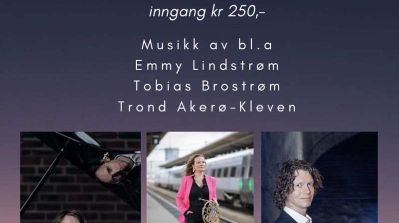 Nordisk Resonans