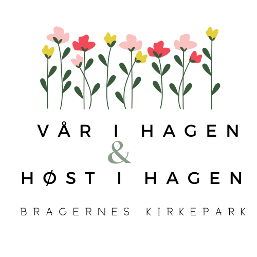 Vår og Høst i hagen (7år)