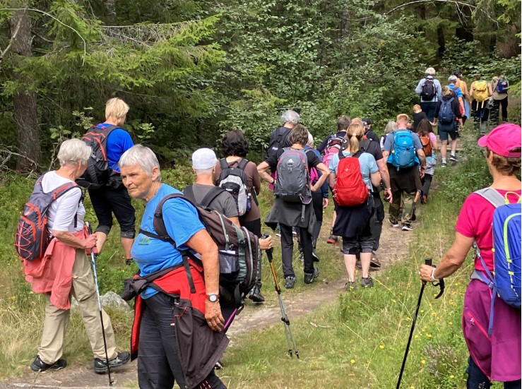 Felles pilegrimsvandring fra Skoger gamle kirke til Fjell kirke