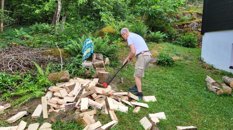 Egil og Ivar sjauer med veden