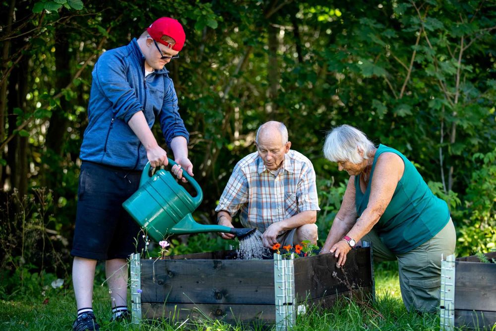 Herman, Egil og Laila vanner