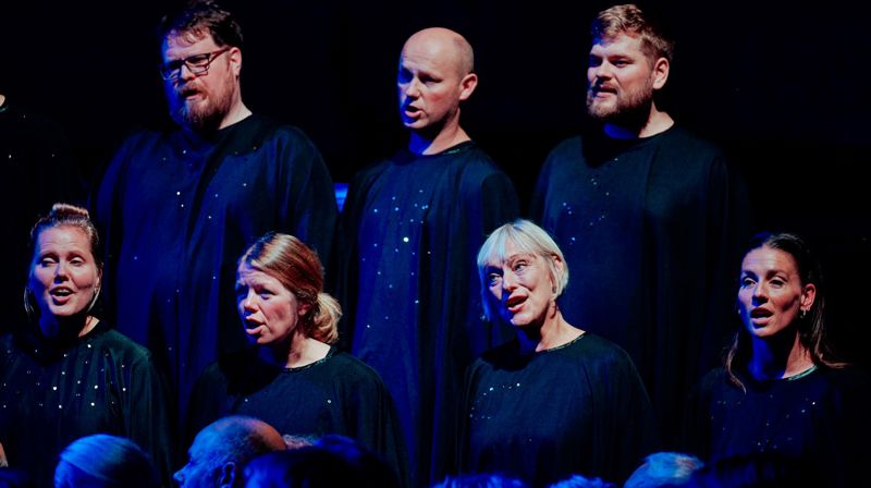 SKRUK (Foto: D. Lawson)