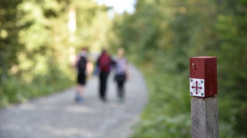 Interreligiøs pilgrimsvandring