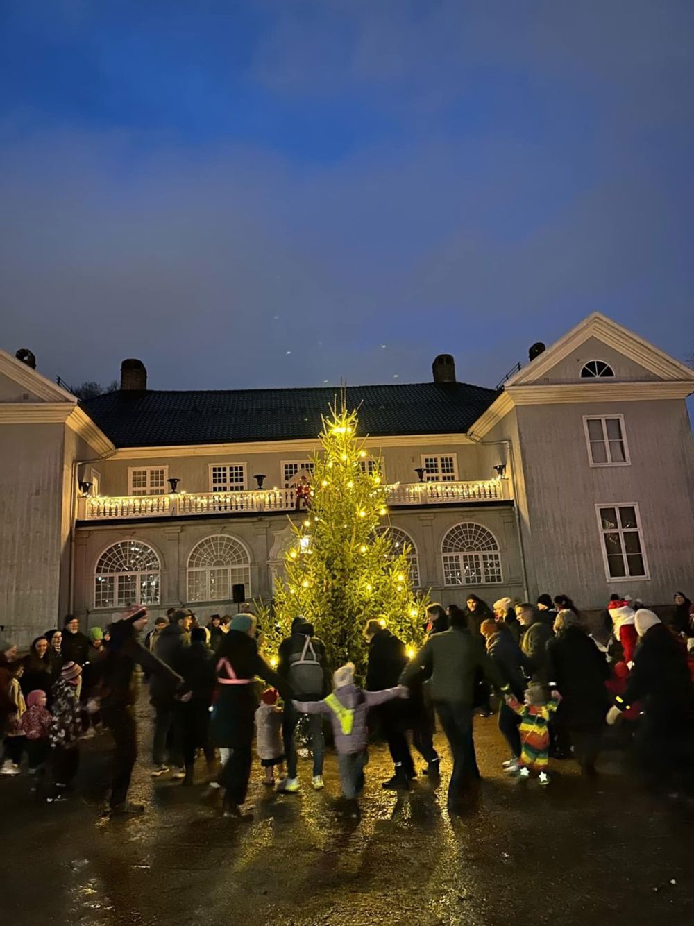 Julegrana tennes på Austad gård siste lørdag i november