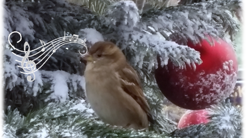 Rettelse - gudstjeneste 13. desember