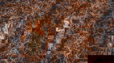 Bilde av Jeswin Thomas: www.pexels.com