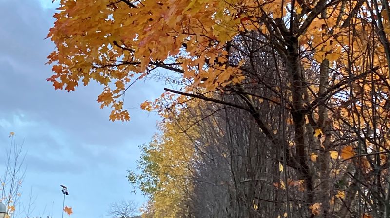 Rikholdig program i oktober