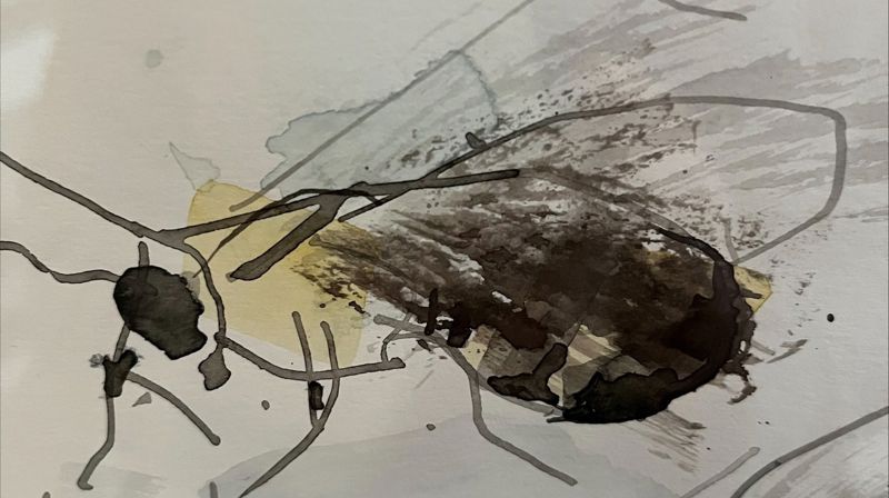 Utstilling "Insekter, innsikt, utsikter"