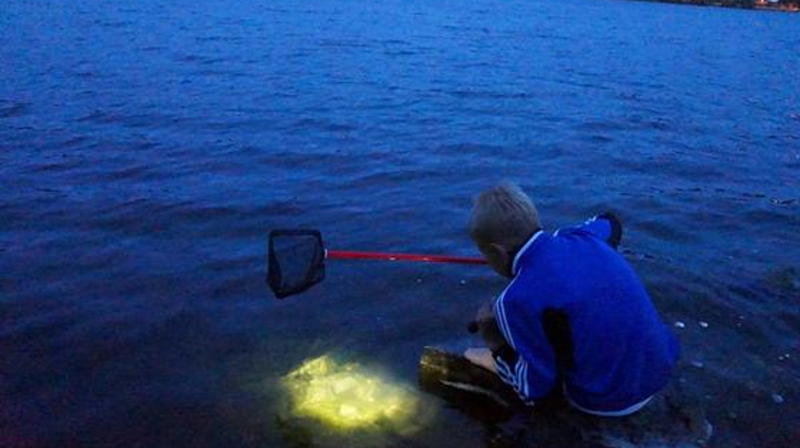 Vann-og krepseleir på Solsetra
